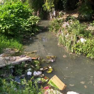 Contaminación arroyo Santo Domingo CtesUM4