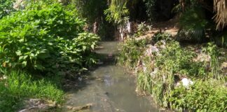 RIESGO SOCIOAMBIENTAL Advierten sobre la contaminación de un arroyo en Corrientes que genera enfermedades en habitantes de la zona norte de la ciudad