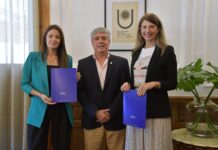 EN 2025 Y 2026 La UNNE acercará a Bella Vista, carreras con reconocimiento mutuo de Económicas y Veterinarias