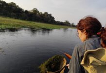 TRABAJO FINAL EN LA UNNE Estudio aporta para comprender cómo los periodos hidrológicos afectan a los macroinvertebrados en lagunas periurbanas de Corrientes