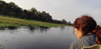 TRABAJO FINAL EN LA UNNE Estudio aporta para comprender cómo los periodos hidrológicos afectan a los macroinvertebrados en lagunas periurbanas de Corrientes