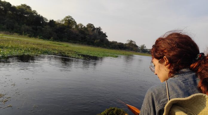 TRABAJO FINAL EN LA UNNE Estudio aporta para comprender cómo los periodos hidrológicos afectan a los macroinvertebrados en lagunas periurbanas de Corrientes