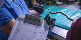 TRABAJO COLABORATIVO Avanzan en la generación de una base de datos sobre accidentes ofídicos en animales