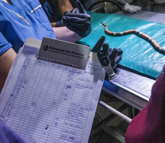 Avanzan en la generación de una base de datos sobre accidentes ofídicos en animales