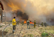 ENTREVISTA EN RADIO UNNE Incendios forestales: “las perspectivas climáticas para primavera y para verano siguen mostrando condiciones desfavorables”