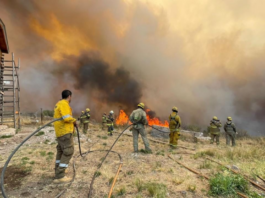 Incendios forestales: “las perspectivas climáticas para primavera y para verano siguen mostrando condiciones desfavorables”