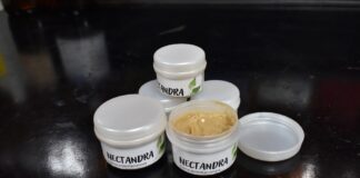 CONOCIMIENTO APLICADO Nectandra, una crema antiinflamatoria desarrollada en la UNNE con base en la flora nativa