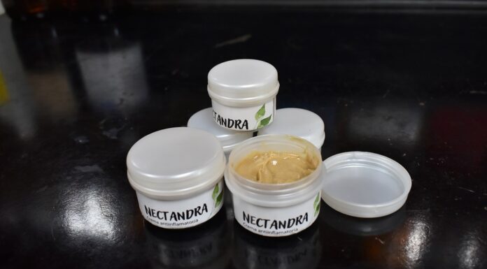 CONOCIMIENTO APLICADO Nectandra, una crema antiinflamatoria desarrollada en la UNNE con base en la flora nativa