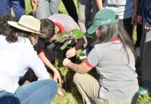 “Guardianes del Ambiente”: la UNNE promueve conciencia y cuidado ambiental en dos escuelas de Corrientes – Capital