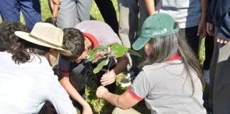 “Guardianes del Ambiente”: la UNNE promueve conciencia y cuidado ambiental en dos escuelas de Corrientes