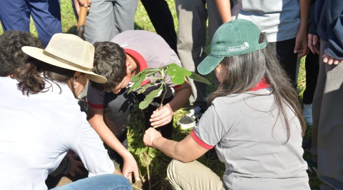 “Guardianes del Ambiente”: la UNNE promueve conciencia y cuidado ambiental en dos escuelas de Corrientes, Capital
