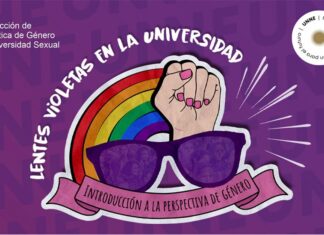 EXTENSIÓN Y COMPROMISO SOCIAL “Lentes Violetas en la Universidad”: un curso que lanza la UNNE para la introducción a la perspectiva de género