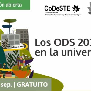 Curso Mooc Los ODS 2030 en la Universidad