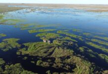 UNIVERSIDAD - EMPRESA - ESTADO Iberá, una zona con aporte de la UNNE, fue elegida Maravilla de América Latina 2025