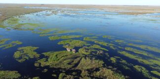 UNIVERSIDAD - EMPRESA - ESTADO Iberá, una zona con aporte de la UNNE, fue elegida Maravilla de América Latina 2025