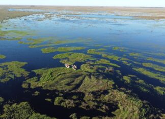 UNIVERSIDAD - EMPRESA - ESTADO Iberá, una zona con aporte de la UNNE, fue elegida Maravilla de América Latina 2025