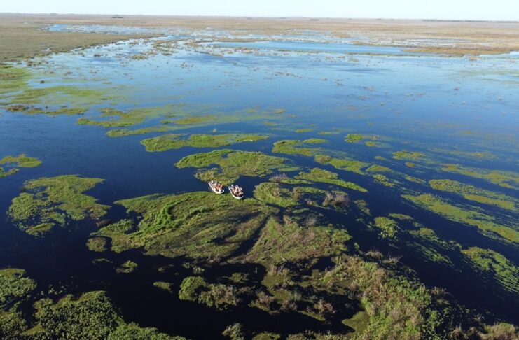 Iberá, una zona con aporte de la UNNE, fue elegida Maravilla de América Latina 2025