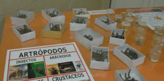 Durante la jornada la Institución mantuvo contacto con la comunidad Saber un poco más sobre los parásitos de nuestra región