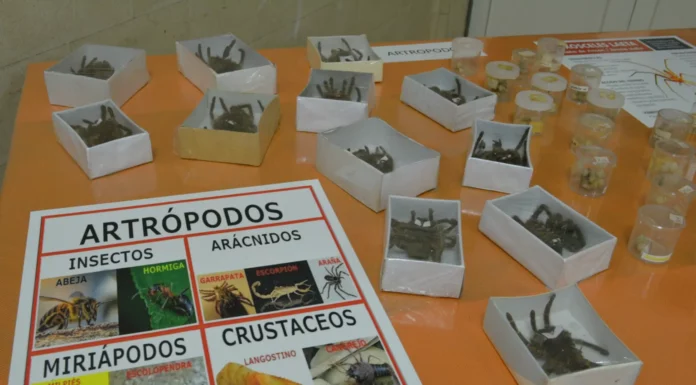 Durante la jornada la Institución mantuvo contacto con la comunidad Saber un poco más sobre los parásitos de nuestra región