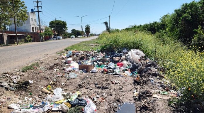 Becas EVC Estudiarán la formación de basurales a cielo abierto y cómo ven los vecinos su rol en el problema