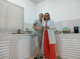 Primer premio para proyecto que detecta leishmaniasis canina con análisis de sangre