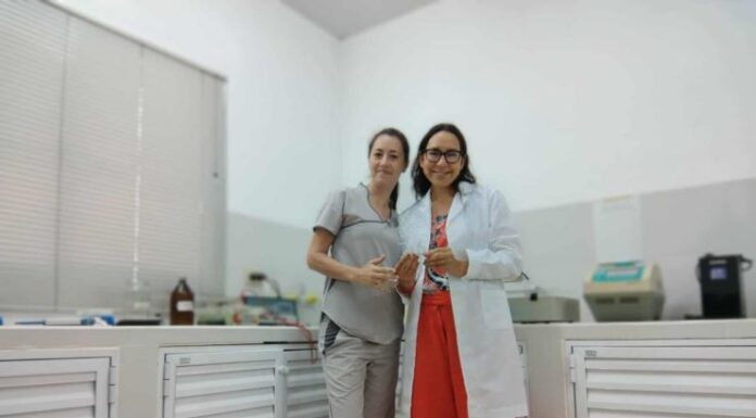 Primer premio para proyecto que detecta leishmaniasis canina con análisis de sangre