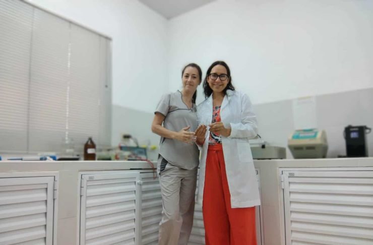 Primer premio para proyecto que detecta leishmaniasis canina con análisis de sangre