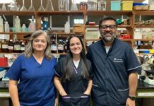 Indagarán sobre la toxicidad de plantas usadas en la etnomedicina regional para problemas digestivos
