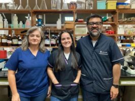 Indagarán sobre la toxicidad de plantas usadas en la etnomedicina regional para problemas digestivos