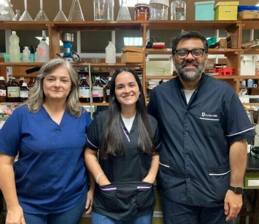Indagarán sobre la toxicidad de plantas usadas en la etnomedicina regional para problemas digestivos