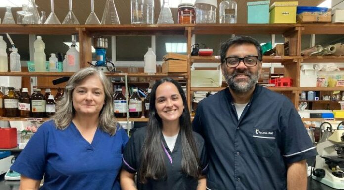 Indagarán sobre la toxicidad de plantas usadas en la etnomedicina regional para problemas digestivos