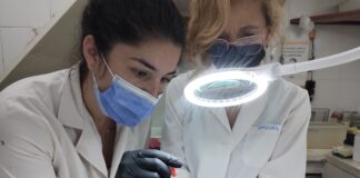 CIENCIA Y DESARROLLO Ajustan técnica de biología molecular para identificar Coronavirus en murciélagos y logran la primera detección en Corrientes