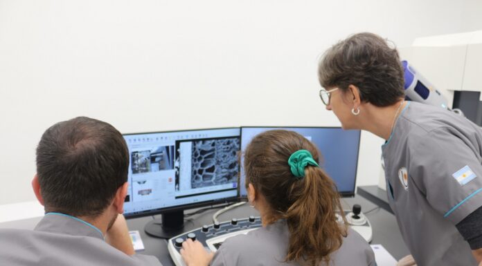 DÍA DE LA CIENCIA Y LA TECNOLOGÍA Ciencia en la UNNE: gran aporte a la región, con prestigio nacional e internacional