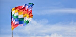 19 DE ABRIL - DÍA DEL INDÍGENA AMERICANO “Que este día nos inspire a seguir adelante, para que nunca más seamos ignorados, sino celebrados por nuestra diversidad”