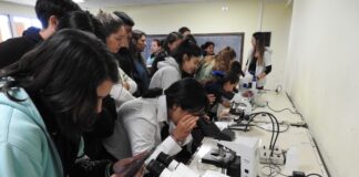 UNNE SALUD Avanzan con un proyecto de prevención de los ectoparásitos que transmiten enfermedades al hombre y a los animales