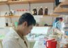 Analizan el ADN del quebracho blanco para entender su historia evolutiva y aportar claves para su conservación