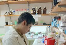 Analizan el ADN del quebracho blanco para entender su historia evolutiva y aportar claves para su conservación