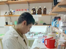 Analizan el ADN del quebracho blanco para entender su historia evolutiva y aportar claves para su conservación