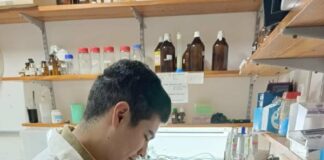 NUEVOS CONOCIMIENTOS Analizan el ADN del quebracho blanco para entender su historia evolutiva y aportar claves para su conservación