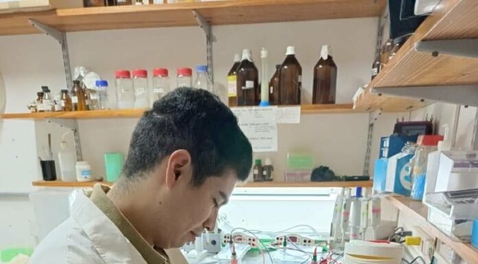 NUEVOS CONOCIMIENTOS Analizan el ADN del quebracho blanco para entender su historia evolutiva y aportar claves para su conservación