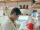 Analizan el ADN del quebracho blanco para entender su historia evolutiva y aportar claves para su conservación