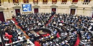 CRISIS PRESUPUESTARIA Danya Tavela: “Sin universidad no hay condiciones para llevar adelante el desarrollo que el país necesita”