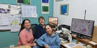 NUEVOS CONOCIMIENTOS Avanza un proyecto que desarrollará el primer registro sistemático de polen atmosférico del NEA