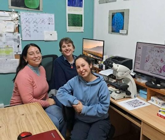 Avanza un proyecto que desarrollará el primer registro sistemático de polen atmosférico del NEA