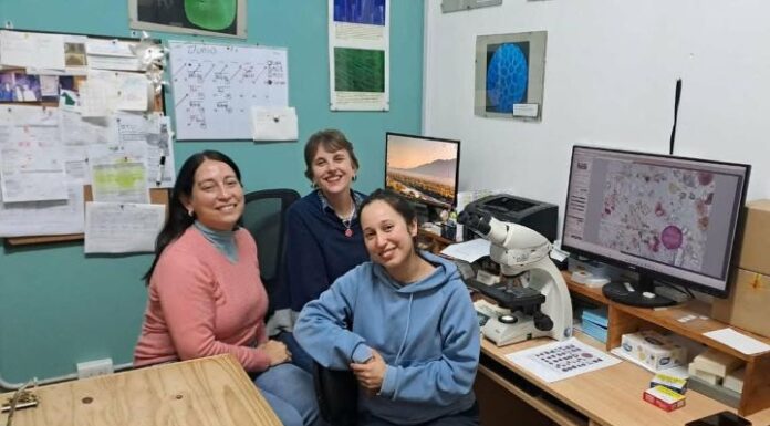 Avanza un proyecto que desarrollará el primer registro sistemático de polen atmosférico del NEA