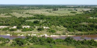 Restauración ecológica: destacan la importancia de preservar y recuperar los humedales del Paraná