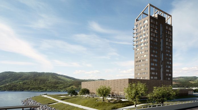 Ciencia y Técnica Proponen utilizar madera como elemento estructural de grandes obras civiles