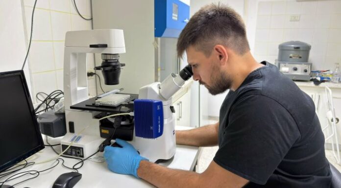 NUEVOS CONOCIMIENTOS Utilizan membrana de un embrión de pollo para investigar sobre fármacos oncológicos
