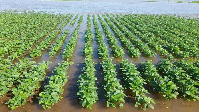 Emergencia Agropecuaria