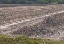 Nuevos Conocimientos Residuos de la industria algodonera podrían convertirse en una solución ambiental